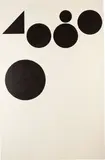 Tauba Auerbach, Numeral Insides I