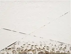Study for erosion by Analia Saban, 2013, laser-sculpted acrylic on canvas, sold May 2015