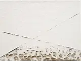 Analia Saban, Study for erosion, 2013, laser-sculpted acrylic on canvas