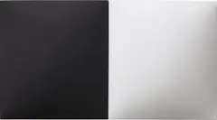 A Conversation Piece (Black & White) by Dean Levin, 2014, fiberglass reinforced plaster, oil on cotton, diptych, sold May 2015