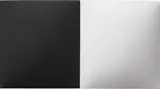 Dean Levin, A Conversation Piece (Black & White), 2014, fiberglass reinforced plaster, oil on cotton, diptych