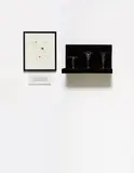 Josiah McElheny, The Development of Social Critique (The Designs of Jacopo Ligozzi), 1996-1998, wood shelf, blown glass, drawing on paper, text display