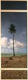 Fyodor Pavlov-Andreevich, Temporary Monument N1, 2015, chromogenic print, in artist's wooden frame, triptych