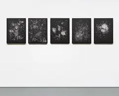 Rivane Neuenschwander, One Thousand and One Possible Nights [N. 51-55], 2006, paper collage on paper, in 5 parts
