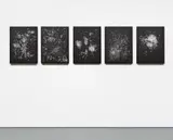 Rivane Neuenschwander, One Thousand and One Possible Nights [N. 51-55], 2006, paper collage on paper, in 5 parts