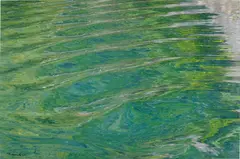 Carlos Eduardo Hellmund, Olas verdes (Green Waves), 2014, c-print on paper
