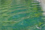 Carlos Eduardo Hellmund, Olas verdes (Green Waves), 2014, c-print on paper