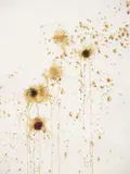 Tania Bruguera, Sunflower #2, 2002, ink and collage on paper