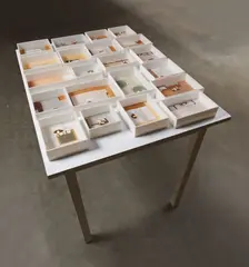 Mauro Piva, Untitled, 2002, watercolor, ink, colored pencil, and graphite on paper, in 21 parts, on wood table