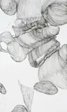 Sandra Cinto, Untitled