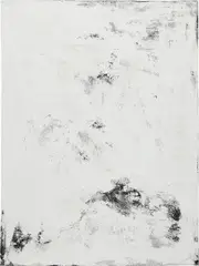 Hugh Scott-Douglas, Panel Painting, 2011, black, white acrylic dispersion polymer on raw canvas