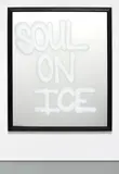 Rashid Johnson, Soul on Ice