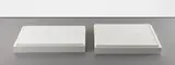 Robert Beck, Art Work by Kipland Kinkel For His Parents, Bill and Faith, 2004, silicon, wood, wound filler, diptych