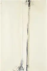 Joseph Havel, Veil 2, 2000, oil, graphite on paper