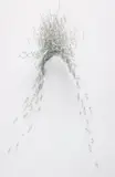 Paul Booker, Blue Rectangles: Wave Form, 2004, ink, Mylar, steel pins
