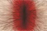 Untitled by Anish Kapoor, 2008, acrylic, gouache on paper, offered Sep 2015
