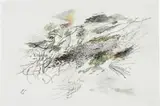 Drawing for Andy #4 by Julie Mehretu, 2007, ink, watercolor on watercolor paper, sold Sep 2015