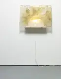 Fredrik Værslev, Landscape: Gold #2, 2013, spray paint on frosted acrylic glass, wooden support, light bulb, steel