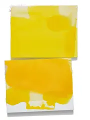 Untitled by Alex Hubbard, 2010, oil, acrylic, resin, fiberglass on canvas, in 2 parts, offered Sep 2015