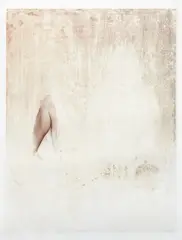 Amie Dicke, Leg, 2013, sandpaper abrasion, chromogenic print