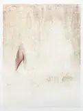Amie Dicke, Leg, 2013, sandpaper abrasion, chromogenic print