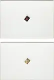 Cyprien Gaillard, Two works: Field of Rest
