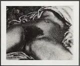 Vik Muniz, The Origin of the World, after Courbet (from Pictures of Soil), 1999, gelatin silver print, in artist's frame