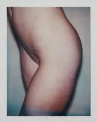 Torso by Andy Warhol, 1977, polaroid, sold Sep 2015