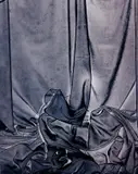 Dickinson by James Welling, 2006, chromogenic print, sold Sep 2015