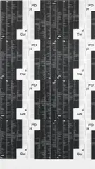Michael Riedel, OHNE TITEL (el Gal), 2012, silkscreen on honeycomb panel