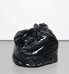 Gavin Turk, Dump, 2004, painted bronze