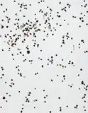 Adam McEwen, Kassel