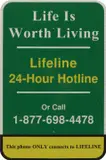 Matthew Day Jackson, Lifeline