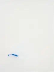 F (Don't Honk) by David Ostrowski, 2013, wall paint, lacquer, and paper on canvas and wood, sold Nov 2015