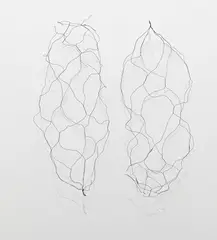 Fernanda Gomes, Untitled, 1993, wire, in two parts