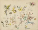 Roberto Matta, Untitled (a Pajarito)
