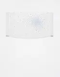 Midnight, Late May by Teresita Fernández, 2004, silkscreen on glass, offered Nov 2015