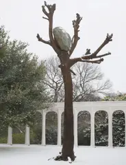Giuseppe Penone, Idee di pietra, 2003-07, bronze tree, grey granite river stone