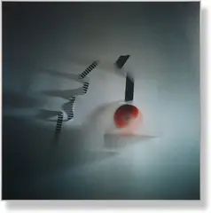 Elisa Sighicelli, Untitled (Interim), 2011, pigment print on archival paper with UV seal protection, in artist's frame