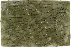 Kiki Smith, Sperm, 1988, Watercolor and ink in colors, on Japanese paper, the full sheet,