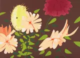 Alex Katz, Late Summer Flowers, 2013, Screenprint in colors, on 4-ply Museum Board, the full sheet,