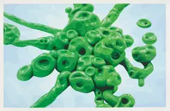 Alexander Ross, Untitled, 2005, Screenprint in colors, on Rising Conservation Board, with full margins,