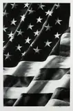 Old Glory, Left Side by Robert Longo, 2011, Archival pigment print, on Epson Exhibition paper, with full margins,, offered Apr 2015