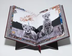 Art Edition No. 251-2500 by Peter Beard, 2006, Hardcover book,, sold Apr 2015