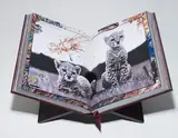 Peter Beard, Art Edition No. 251-2500