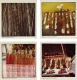 Robert Rauschenberg, Bamboo; Lily Pads; Coke Bottle Still Life; and Tea Pots, from Studies for Chinese Summerhall (large), 1983, Four chromogenic prints, on Kodak photo paper, with full margins,
