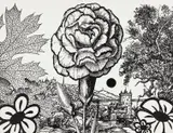 Paul Morrison, Rhexia, 2011, Linocut, on wove paper, the full sheet,