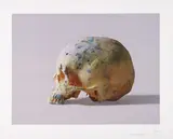 Studio Half Skull, Half Face (with diamond dust) by Damien Hirst, 2009, Screenprint in colors with diamond dust, on Somerset paper, with full margins,, sold Apr 2015