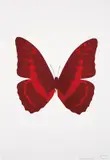 Burgundy/Chilli Red, from The Souls III by Damien Hirst, 2010, Foil-block print in colors, on Arches 88 Archival paper, with full margins,, offered Apr 2015