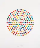 Cephalothin by Damien Hirst, 2007, Etching and aquatint in colors, on Hahnemühle etching paper, with full margins,, sold Apr 2015